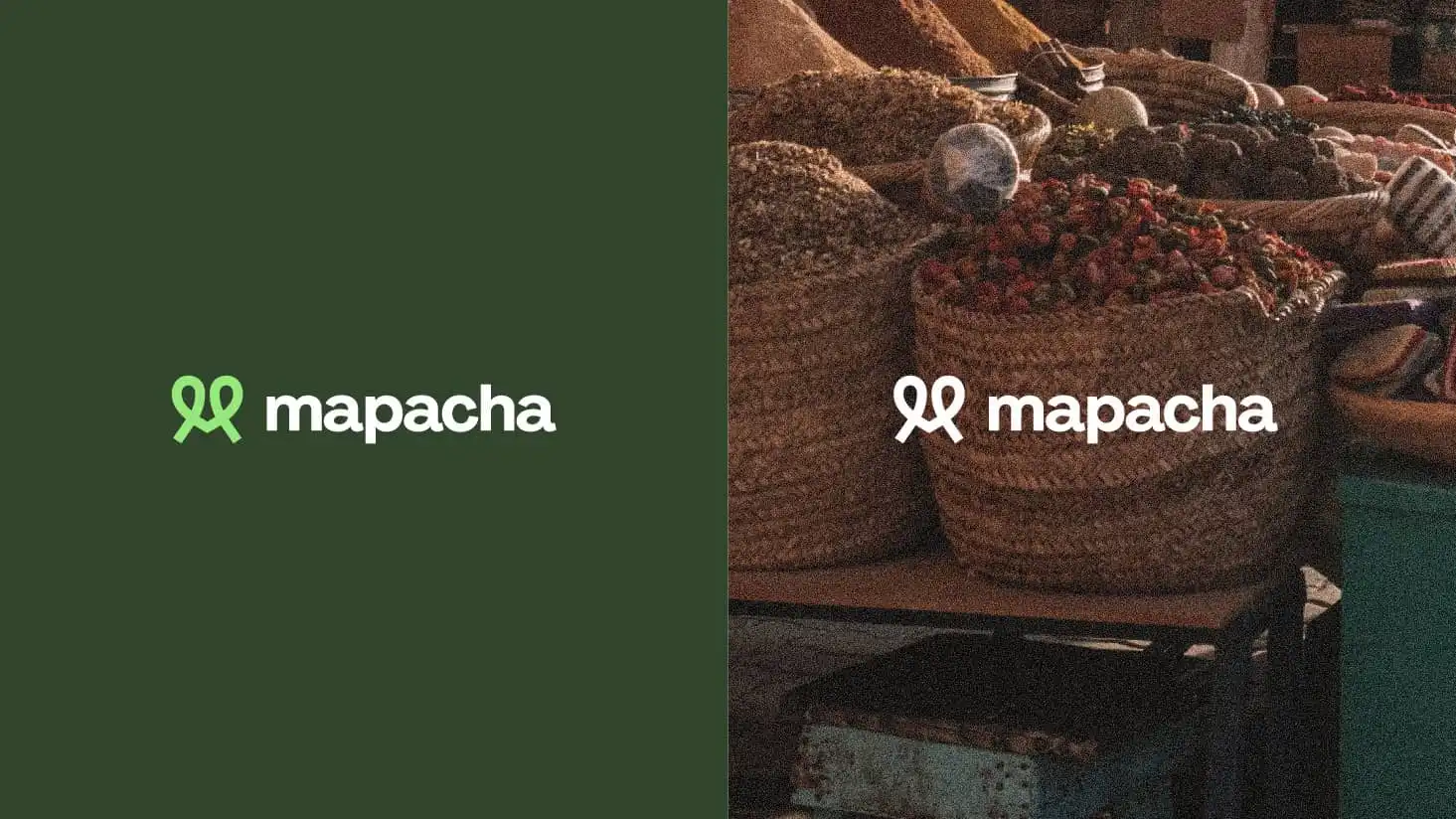 different color versions of Mapacha's logotype